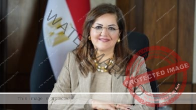 السعيد: نفخر بما تحظى به المرأة المصرية من دعم بما يجعلها في القلب من كافة خطط وسياسات الدولة