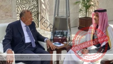 وزير الخارجية سامح شكري يعقد اجتماعاً ثنائياً مع أخيه رئيس مجلس الوزراء وزير خارجية دولة قطر