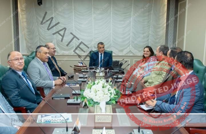 وزير الدولة للإنتاج الحربي" يستقبل ممثلي شركة "بابيريوس" لبحث مستجدات التعاون المشترك 
