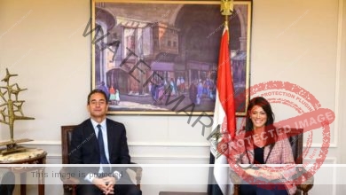 المشاط: تستقبل السفير الفرنسي الجديد لدى مصر وتبحث تطوير العلاقات المشتركة في ضوء الشراكة الاستراتيجية بين مصر والاتحاد الأوروبي