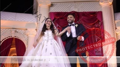 حفل زفاف ابن محمد فؤاد بحضور عمرو دياب والفنانين