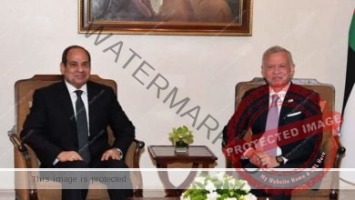 الرئيس السيسي يلتقي العاهل الأردني.. ويُؤكدان ضرورة الوقف الفوري لإطلاق النار في قطاع غزة
