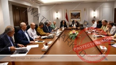 محافظ جنوب سيناء يبحث خلال الاجتماع الدوري مع المجموعة الاقتصادية عددا من الموضوعات المالية