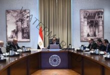 رئيس الوزراء يبحث مع مسئولي شركة "المنصور للسيارات" فرص تصنيع طرازات ومنتجات جديدة في مصر