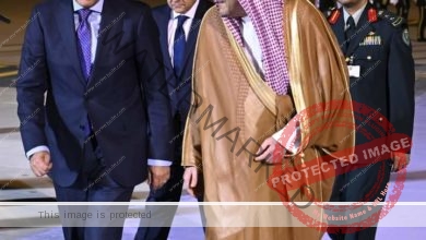 رئيس الوزراء يصل "الرياض" للمشاركة في المنتدى الاقتصادي العالمي نيابة عن رئيس الجمهورية