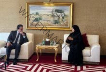 عبدالغفار يبحث مع وزيرة الصحة القطرية الجهود المشتركة لتقديم المساعدات الطبية والإنسانية للأشقاء الفلسطنيين