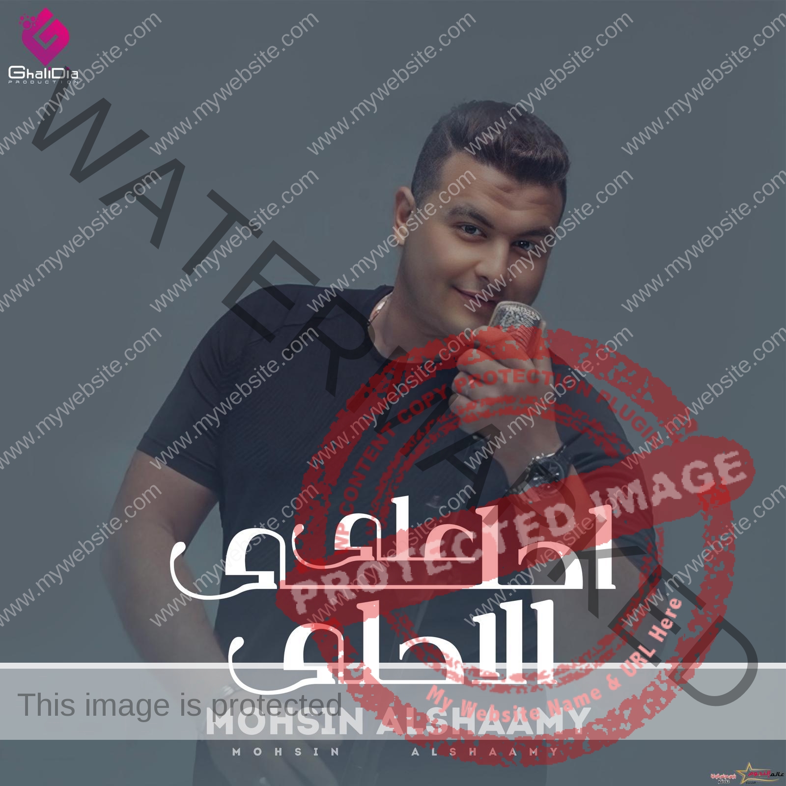 "أحلي ع الأحلى" لـ  محسن الشامى يقترب من 100000 مشاهده بعد يومين من طرحه