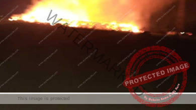 الحماية المدنية بالقاهرة تسيطر على حريق بأشجار «شبرا» مصر