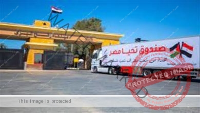 إدخال 79شاحنة مساعدات إلى قطاع غزة عبر بوابة معبر رفح البري