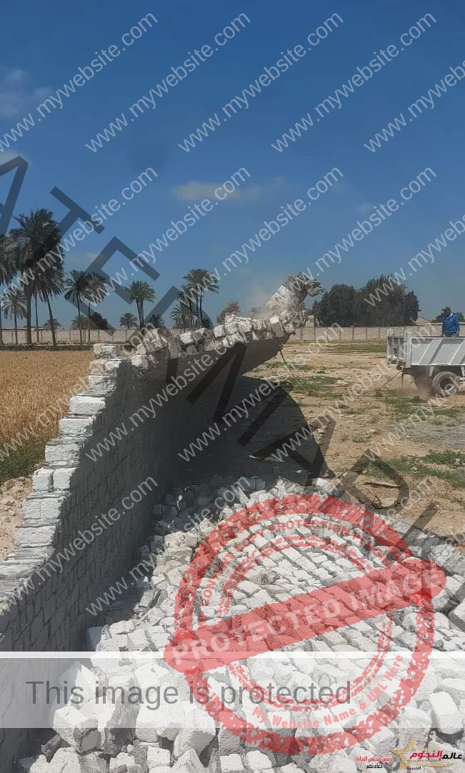 حملات مُكبرة لإيقاف أعمال البناء المخالف وإزالة التعديات على الأراضي الزراعية بأحياء الإسكندرية