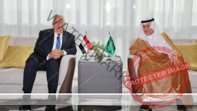وزيرا الزراعة في مصر والسعودية يبحثان التعاون المشترك بين البلدين 