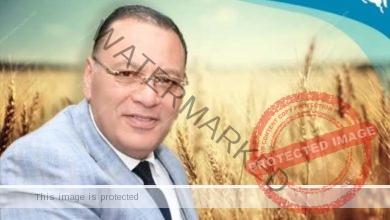 استمرار توافد محصول القمح على صوامع وشون محافظة الشرقية