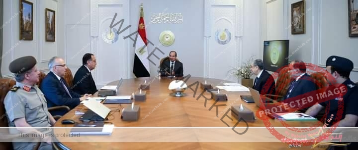 السيسي يعقد اجتماعاً اليوم مع رئيس مجلس الوزراء ووزير الكهرباء والطاقة