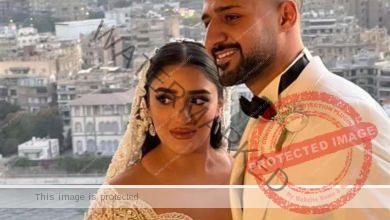 حفل زفاف بنت نقيب الموسيقيين مصطفى كامل 