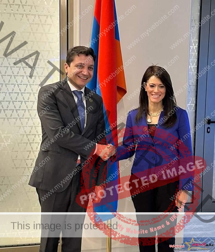 المشاط تبحث مع وزير المالية الأرميني ترتيبات الدورة السادسة من اللجنة المشتركة بين البلدين