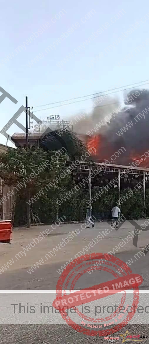 السيطرة على حريق هائل في قرية سياحية بالدقهلية