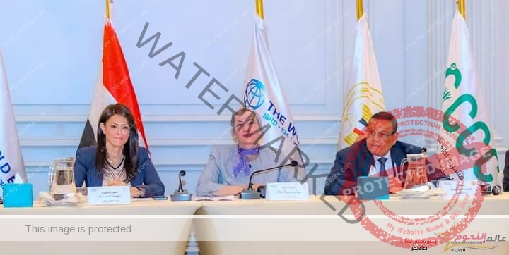 وزراء البيئة والتعاون الدولي والتنمية المحلية يترأسون الجلسة الختامية لمراجعة منتصف المدة لمشروع "إدارة تلوث الهواء وتغير المناخ في القاهرة الكبري"