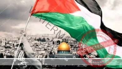 انضمام فلسطين لدعوى جنوب إفريقيا خطوة جريئة لفضح جرائم الأحتلال أمام العالم