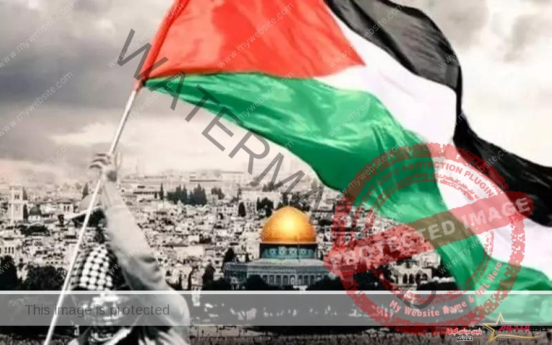 انضمام فلسطين لدعوى جنوب إفريقيا خطوة جريئة لفضح جرائم الأحتلال أمام العالم
