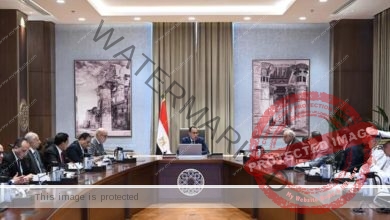 رئيس الوزراء يتابع الموقف التنفيذي للأعمال بالتجمع العمراني الجديد بجزيرة الوراق