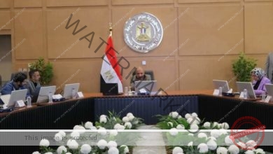 وزير الكهرباء والطاقة المتجددة يتابع أعمال تنفيذ خط الربط المصرى السعودى