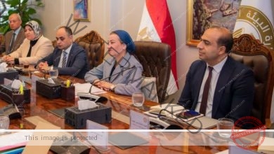 فؤاد: استمرار تنفيذ المنظومة يتطلب استكمال تنفيذ البنية التحتية