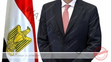 الزراعة: اللجان الفنية المصرية الغينية المشتركة تبحث تفعيل التعاون الزراعي بين البلدين الشقيقين