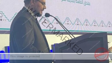 د. مصطفى الأقفهصي: دار الإفتاء المصرية تتصدى للفتاوى المناهضة لصناعة السلام بفاعلية