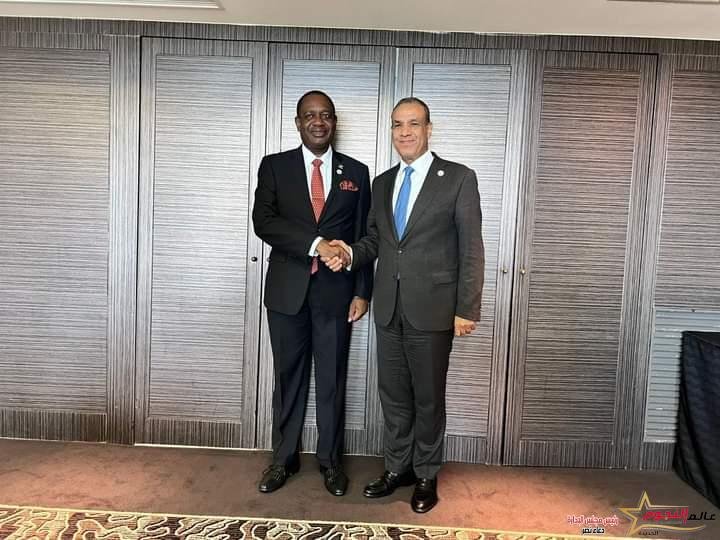 عبد العاطي يلتقى مع وزير العلاقات الدولية والتعاون لناميبيا على هامش مؤتمر التيكاد