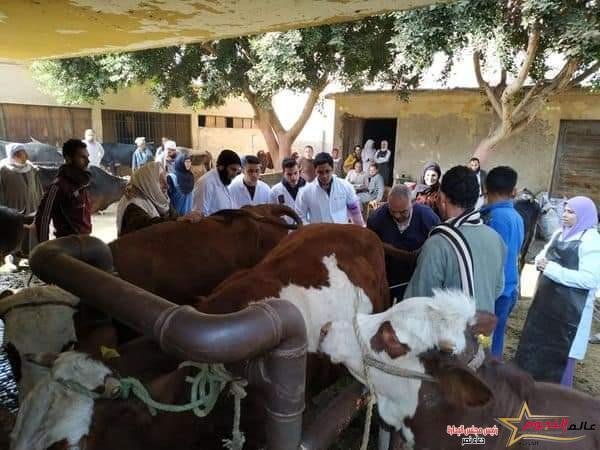 فاروق: إعطاء أكثر من 6.6 مليون جرعة ضد مرضى الحمي القلاعية خلال الحملة القومية الثانية في إطار مبادرة "حياة كريمة"