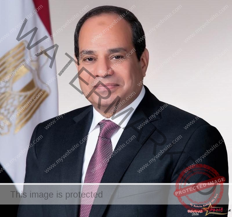 الرئيس السيسي يهنئ مسلمي مصر بالخارج بمناسبة قرب حلول ذكرى المولد النبوي الشريف