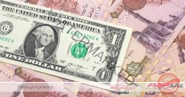 سعر الدولار مقابل الجنيه المصرى اليوم الثلاثاء 15 أكتوبر 2024