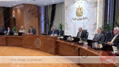 مدبولي: الرئيس بعث رسائل طمأنينة تؤكد قوة وقدرة الدولة المصرية على حماية حدودها ومقدراتها وأنها دائماً تسعى لإقرار السلام والاستقرار