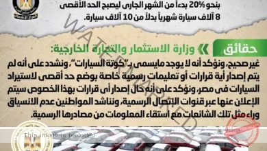 إصدار قرار بخفض "كوتة" استيراد السيارات في مصر بنحو 20% بدءاً من الشهر الجاري