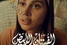 ياسمين رئيس في السينما والتليفزيون خلال شهر نوفمبر الجاري