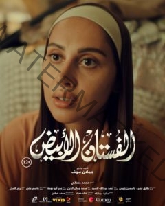 ياسمين رئيس في السينما والتليفزيون خلال شهر نوفمبر الجاري