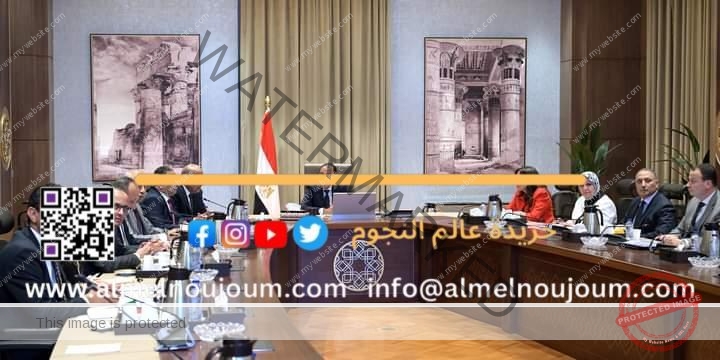 رئيس الوزراء يستعرض مع وزير الكهرباء موقف مشروعات الطاقة الجديدة والمتجددة طبقاً لرؤية 2040