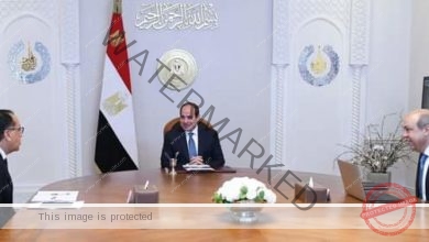 الرئيس السيسي يجتمع مع رئيس الوزراء ووزير الطيران المدني 