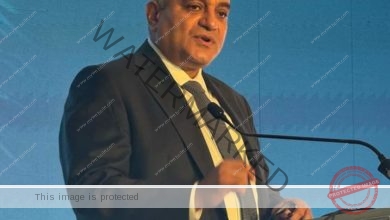 نائب وزير المالية.. فى مؤتمر «الاستثمار المستدام» بباريس