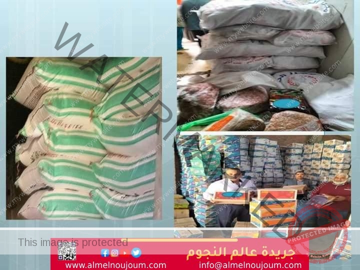 ضبط 6 طن مواد غذائية و 3000 كيس مقرمشات مجهولي المصدر خلال حملات تفتيشية بنطاق مركز الزقازيق