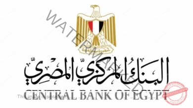 20.8 مليار دولار تحويلات المصريين العاملين بالخارج خلال الفترة يناير/ سبتمبر 2024