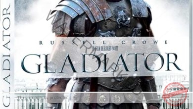 نصيب Gladiator II من الملايين في 63 سوقا عالميا