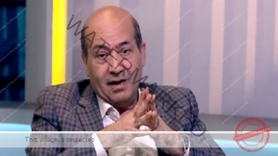 طارق الشناوي: خالد النبوي عارف أن لقب العالمية أونطة.. ونور ابنه هيبقى نجم شباك