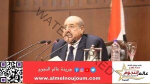 رئيس مجلس الشيوخ يهنئ الرئيس السيسي بمناسبة العام الميلادي الجديد