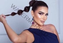 سارة نخلة تلقن نزار الفارس درسًا بعد حلقة لطفي لبيب: “بيستغل الفنانين لإثارة الجدل ويهاجموا زملائهم"