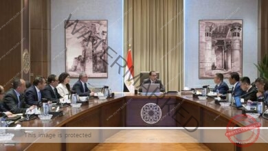 رئيس الوزراء يلتقي نائب رئيس شركة "جريت وول موتورز" الصينية