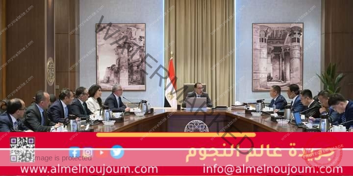 رئيس الوزراء يلتقي نائب رئيس شركة "جريت وول موتورز" الصينية