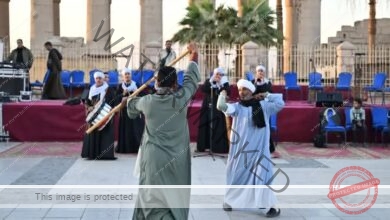 استعراضات فنية مبهجة بالمهرجان القومي للتحطيب