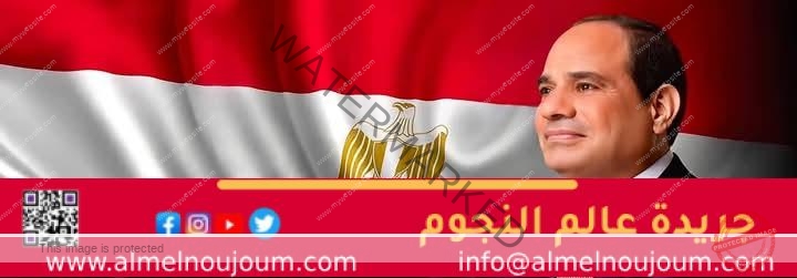 الرئيس السيسي يعود لأرض الوطن بعد جولة أوروبية شملت الدنمارك والنرويج وإيرلندا