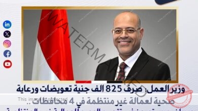 وزير العمل: صرف 825 الف جنية تعويضات ورعاية صحية لعمالة غير منتظمة في 4 محافظات 